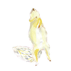 Watercolor painting yellow desert squirrel