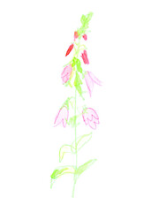 Watercolor painting flower seamless pattern