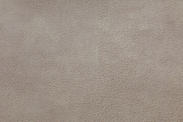 Background image - texture of light gray leather with a textured pattern