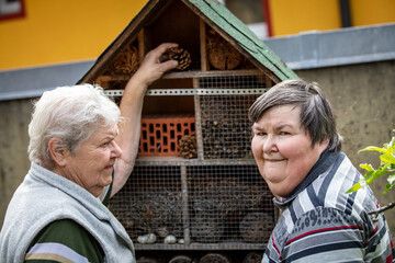 senior and mentally disabled woman look at insect hotel