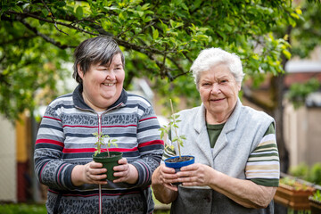 senior and mentally handicapped woman hold a tomato seedling in their hands