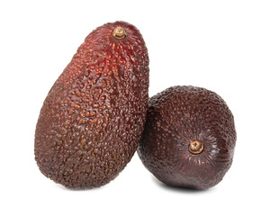 Avocado fruit exotic isolated on the white background