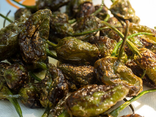 padron peppers typical food in spain
