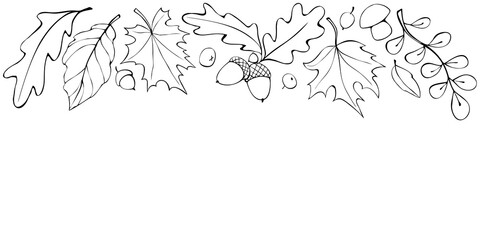 Autumn background with space and border of leaves, mushrooms, acorns, berries on upper edge. For invitation, ending, frame, children's print, or coloring. The theme is forest, happy fall, thanksgiving