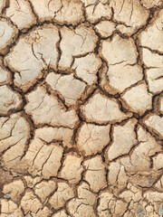 dry cracked earth
