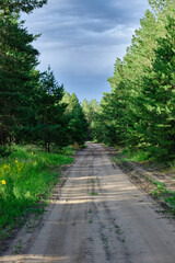 Fototapeta na wymiar Forest country road, dirt road going deep into forest.