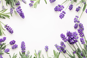 Flowers composition, frame made of lavender flowers on pastel background. - 515364940