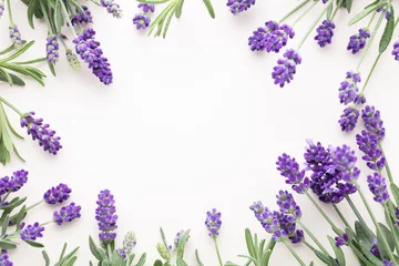 Gordijnen Flowers composition, frame made of lavender flowers on pastel background. © gitusik