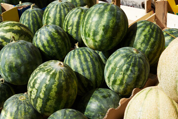 summer fresh fruits berries, red sliced watermelon in the market