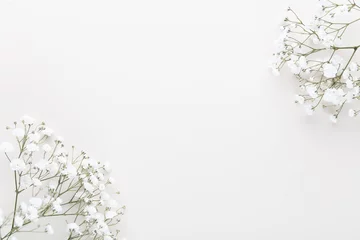 Foto op Plexiglas Beautiful flower background of pink gypsophila flowers. Flat lay, top view. Floral pattern. © gitusik