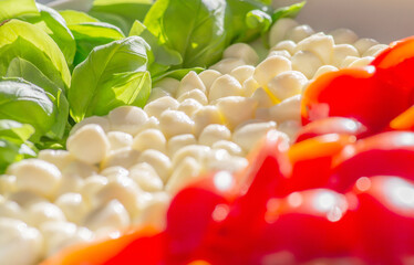 Ingredients of caprese salad in the form of the flag of italy. Mini mozzarella cheese, basil leaves and cherry tomatoes layed on the white plate. Close up, macro.