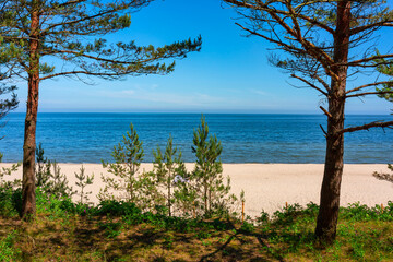Landscape of the summer beach of the Baltic Sea in Sztutowo, Poland
