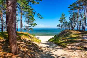 Landscape of the summer beach of the Baltic Sea in Sztutowo, Poland - obrazy, fototapety, plakaty