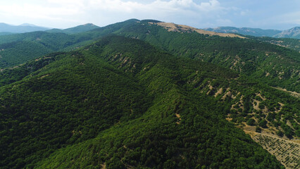 Fototapeta premium Breathtaking landscape of green forested mountains on blue cloudy sky background. Shot. Aerial of amazing green hills covered by trees.
