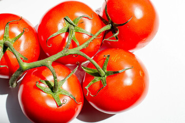 fresh red tomatoes on branch