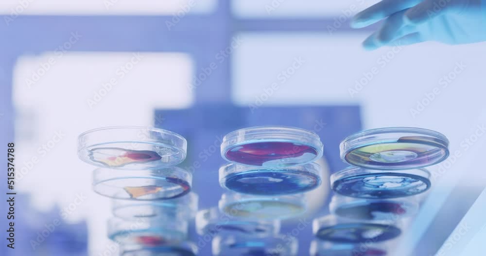 Poster Low angle of laboratory scientist placing monkeypox petri dishes on glass table in ultraviolet lit lab. Biochemist testing phenolphthalein chemical reactions with multiple samples. Searching for cure