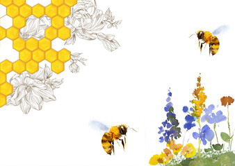 Watercolor flowers and bees. Wildflower honey ads. Honey hand drawn illustration. Honey combs with honey, retro flowers garden with bees.  - 515374734