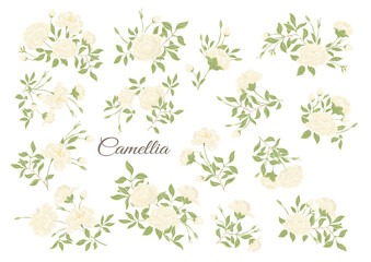 Fototapeta na wymiar Camellia blossom tree Clip art, set of elements for design Vector illustration. In botanical style Isolated on white background.