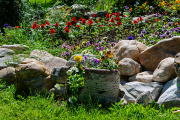 Alpine slide illuminated by the bright sun in the park, garden.Rockery with stones and various...