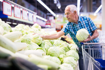 Fototapeta premium old age man choosing cabbage in supermarket