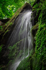 waterfall in the forest