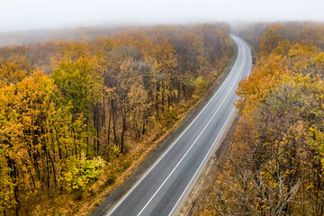 empty asphalt road through the autumn forest into the mist. fog on the road