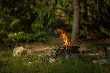 Close up of burning timber bonfire in summer forest..The concept of adventure, travel, tourism, camping, survival and evacuation.