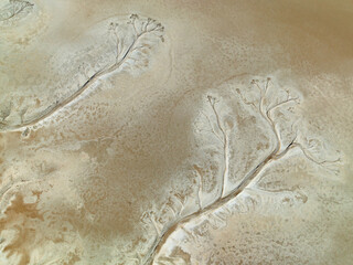 Fototapeta na wymiar Tidal water branches in mud plains at Derby, Western Australia