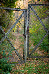 Fototapeta premium old rusty gate