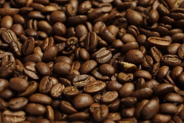 coffee beans background