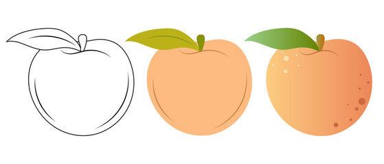 Peach. Doodle illustration of a peach. Peach vector illustration
