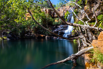 Idyllic Billabong with waterfall and Boab tree at Galvans Gorge in the Kimberley, Western Australia