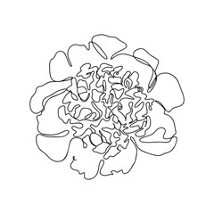 One Line Drawing, Single Continuous Line Sketch Flower