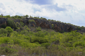 Fototapeta na wymiar Landschaft Bonaire