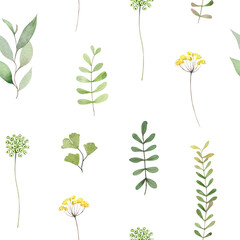 Watercolor botanical seamless pattern. Wild herbs and flowers illustration on white background. Elegant floral set. Hand drawn graphics for cards, wedding design, digital scrapbooking.