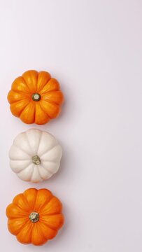 Stop motion animation of flat lay of mini decorative pumpkin white, orange and yellow colors on bright from above at the left. Halloween and Thanksgiving greeting card holiday concept with copy space