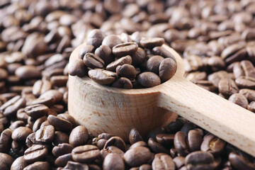  fresh coffee beans on a wooden spoon 