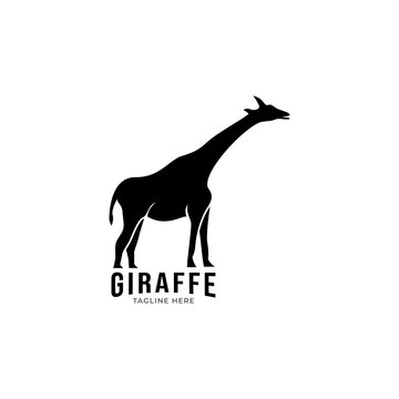 giraffe logo icon vector template.