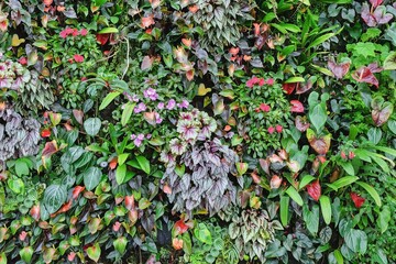 Green lush plant eco wall. Unique ecosystem for clean air office and urban environment, modern vertical garden concept