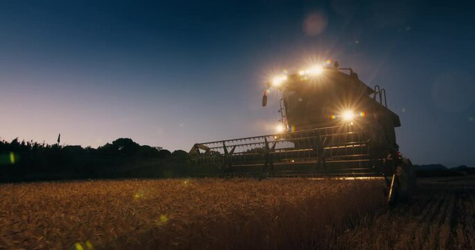 Harvester Combine Working At Night Or Late Evening Using Headlight. Farmer Harvesting Wheat On Agricultural Field At Sunset. Cinematic Footage Of Rural Scenic On Summertime