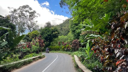 Les routes tropicales de Tsembéhou