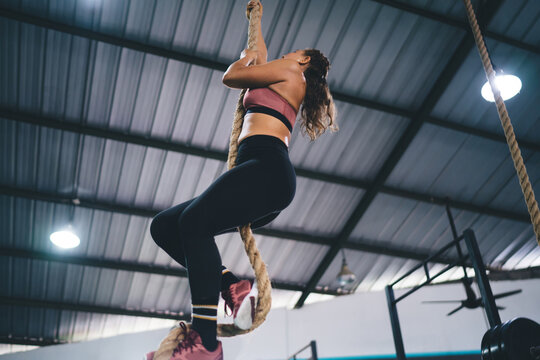 Young People Climbing Ropes In The Gym Stock Photo - Download