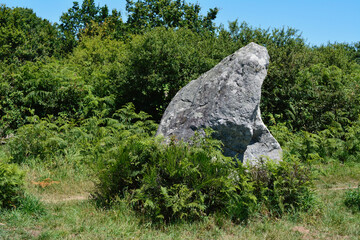 m&eacute;galithe seule