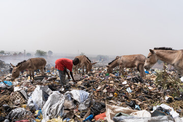 A smoking suburban landfill in West Africa, with donkeys and a street child searching for...