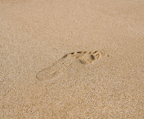 Fototapeta na wymiar huella en la arena de la playa