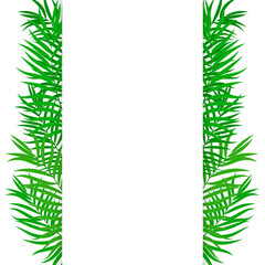 Vertical tropical background with palm leaves with space for text