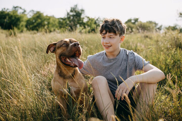 Boy playing with his dog, purebred pit bull, sitting outdoors, in a field.