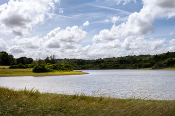 View of Bewl Water reservoir on a summer afternoon, Kent, South of England