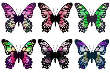 Fototapeta na wymiar ピンクや緑の羽の6羽の蝶