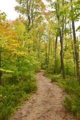 Fototapeta na wymiar A trail winding through the fall forest 